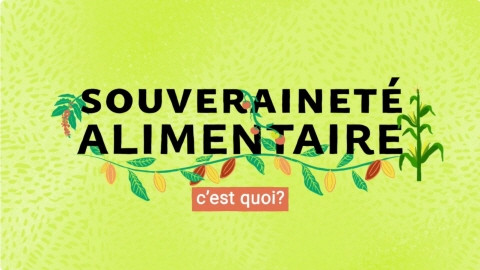 © Association québécoise des organismes de coopération internationale (AQOCI), 2023