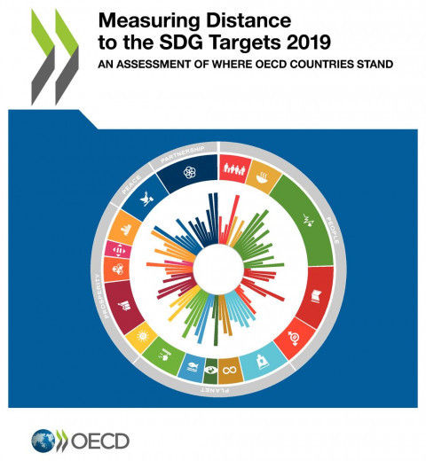 © OECD 2019 